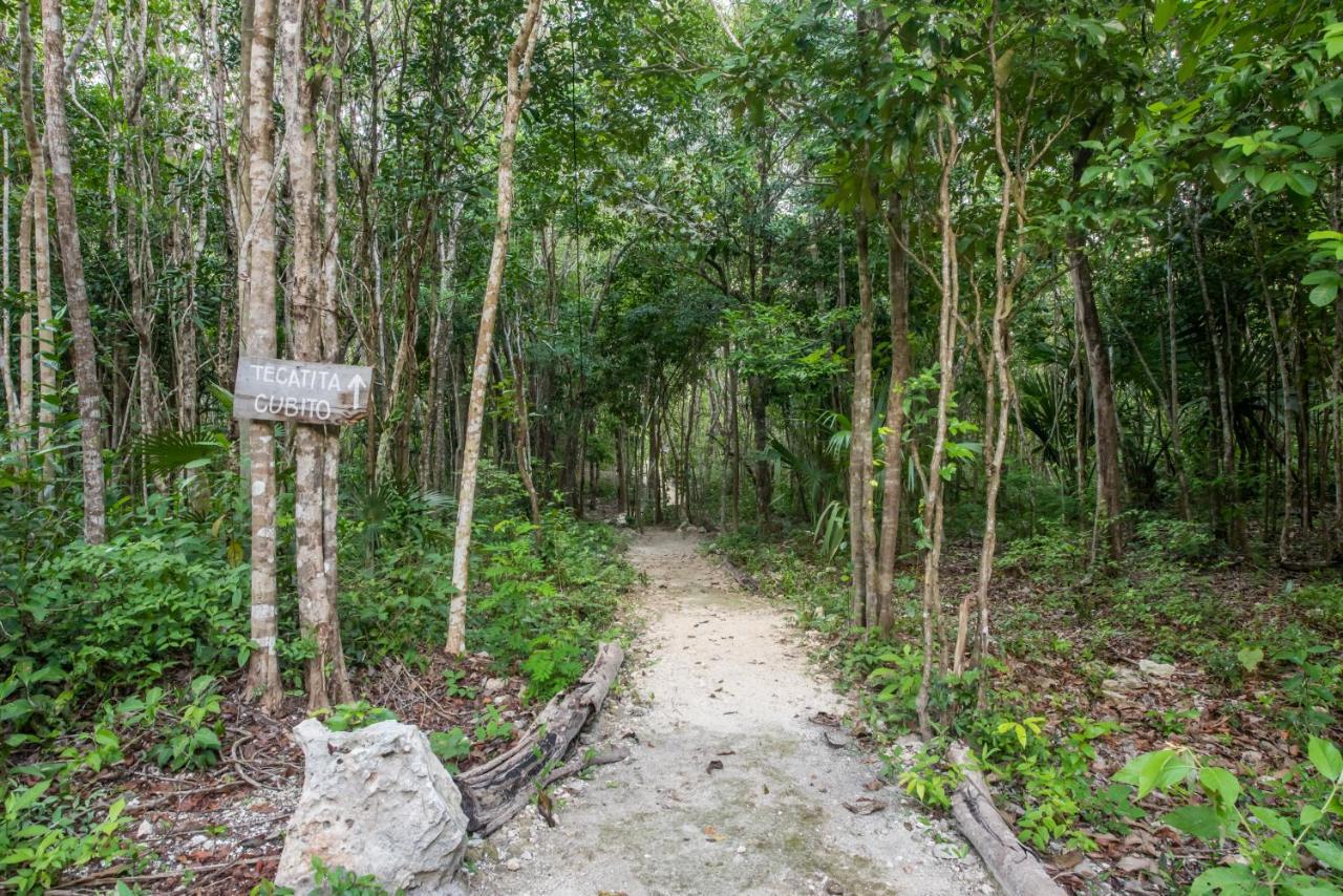 Casa Costal - Glamping Experience Hotel Puerto Morelos Exterior foto