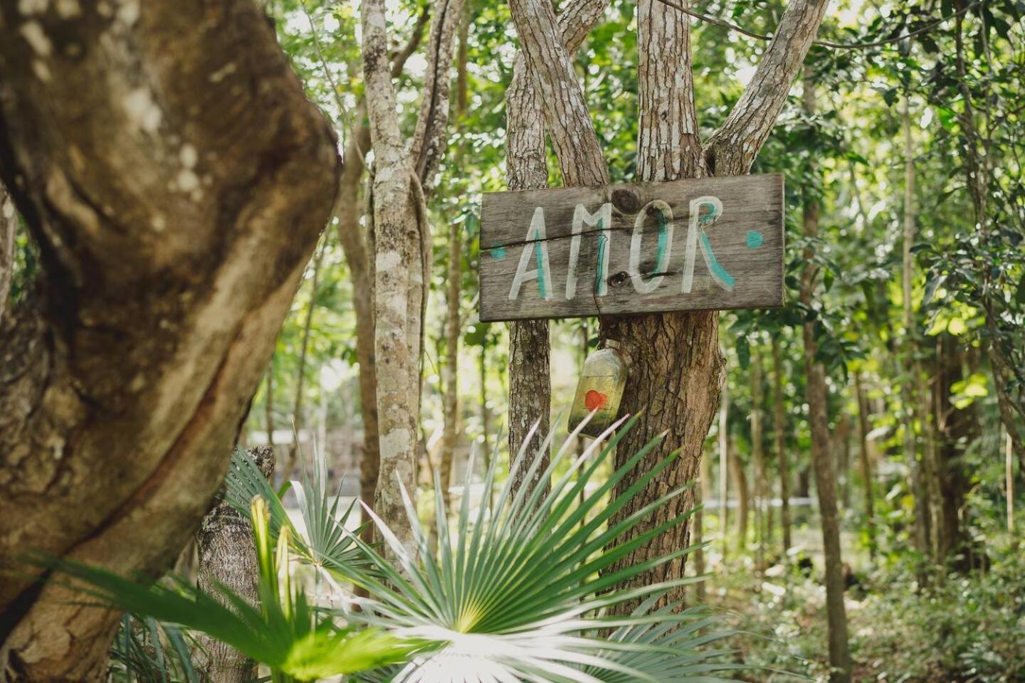 Casa Costal - Glamping Experience Hotel Puerto Morelos Exterior foto