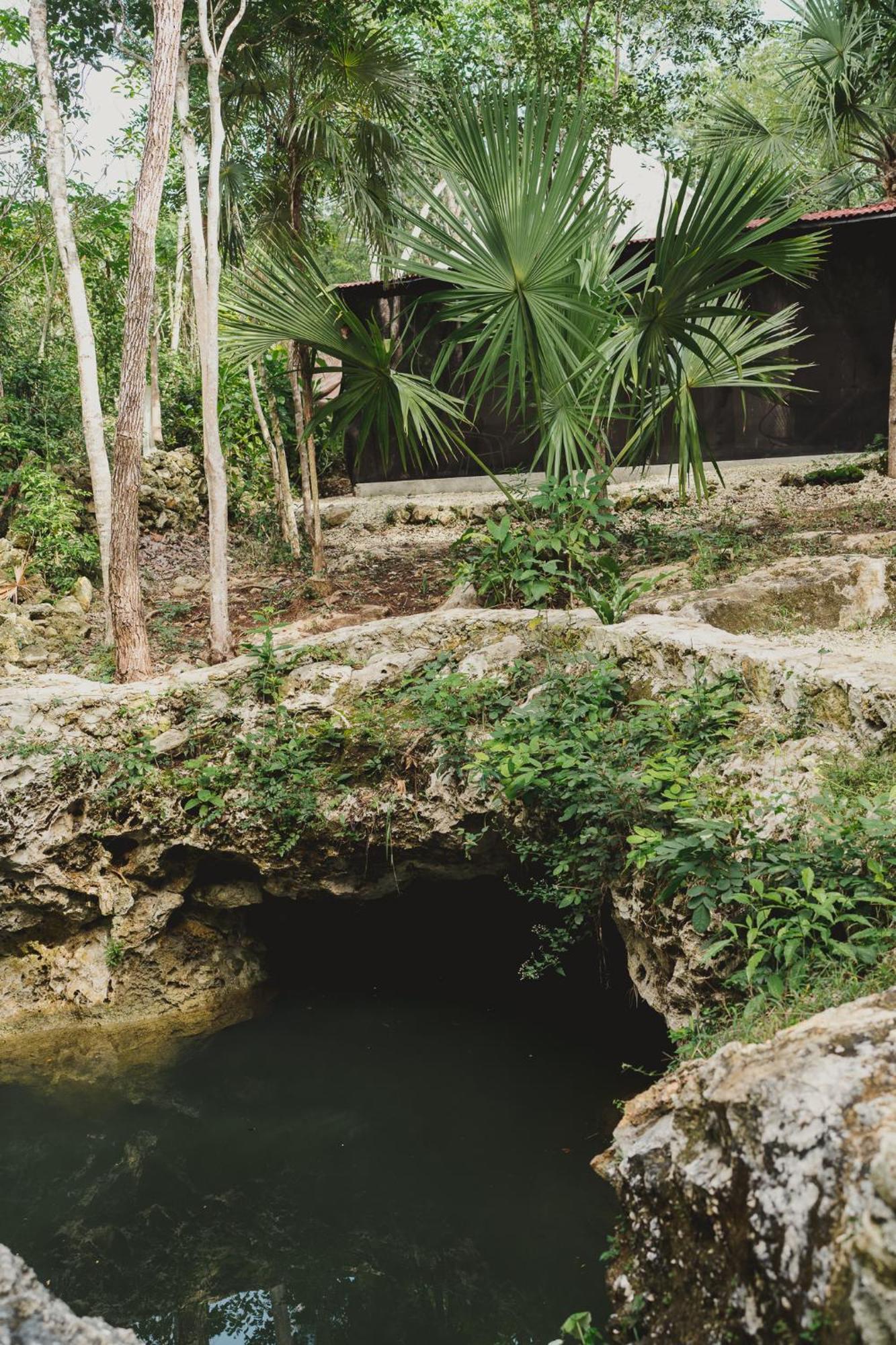 Casa Costal - Glamping Experience Hotel Puerto Morelos Quarto foto